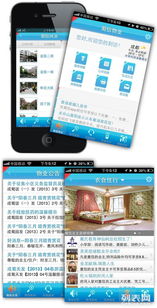 東莞蕃茄網絡科技 專業網站建設與技術服務首選